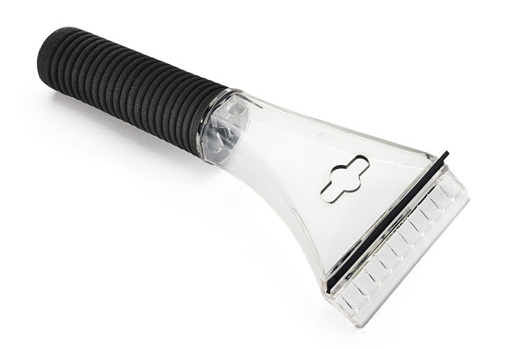 Skrobaczka przezroczyta / czarna